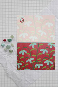 carta- b&aacute;ndearg