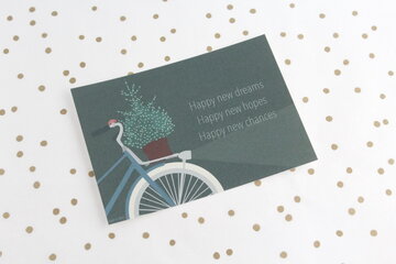 KERSTFIETS/ Ravelief