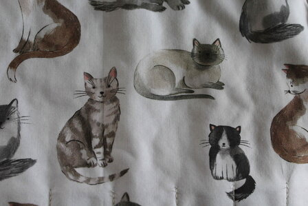 potloodrol katten