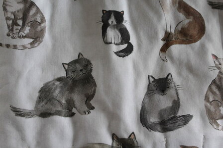 potloodrol katten