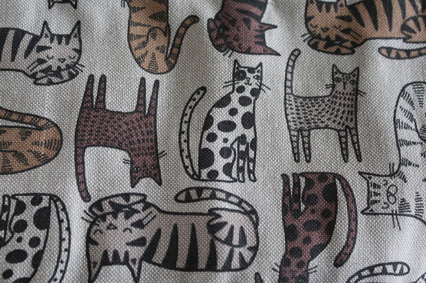 krijtjesrol katten bruin