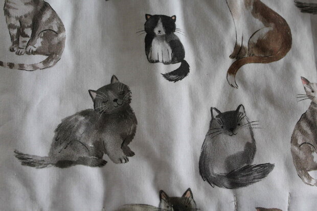 potloodrol katten