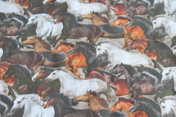 krijtjesrol paarden in galop